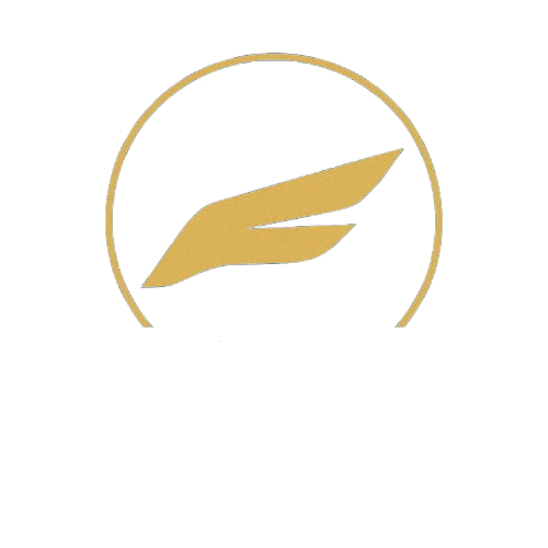 FalcoFoil Logo